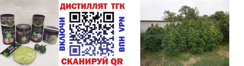 Cannafood марихуана  Купить где  Иннополис 