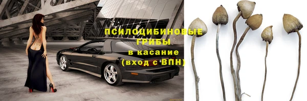 ГАЛЛЮЦИНОГЕННЫЕ ГРИБЫ Заволжск