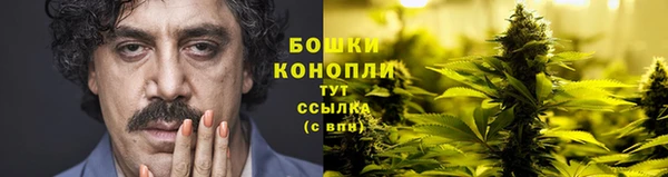 бошки Заводоуковск