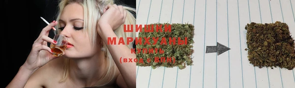 бошки Заводоуковск