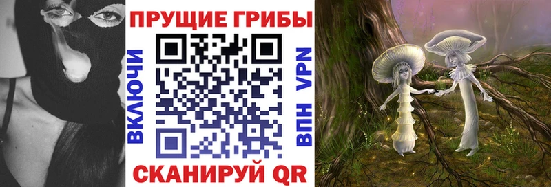 Купить  Иннополис  Галлюциногенные грибы Magic Shrooms 